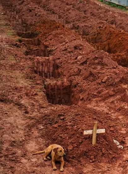 En etkileyici 29 fotoğraf karesi