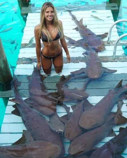 22 yaşında dünyayı dolaşıp deniz canlılarıyla fotoğraf çektiriyor