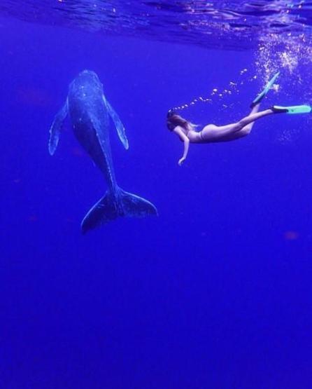 22 yaşında dünyayı dolaşıp deniz canlılarıyla fotoğraf çektiriyor