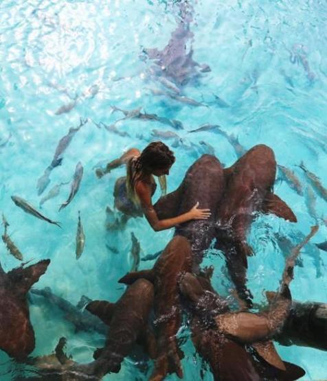 22 yaşında dünyayı dolaşıp deniz canlılarıyla fotoğraf çektiriyor