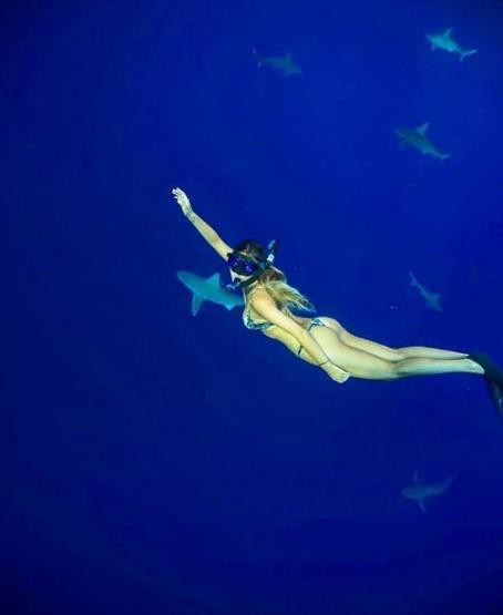 22 yaşında dünyayı dolaşıp deniz canlılarıyla fotoğraf çektiriyor