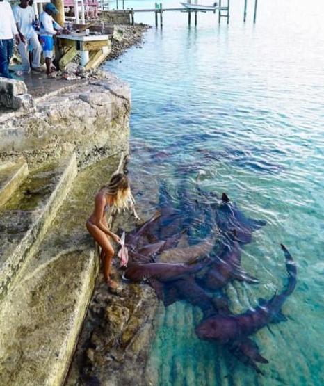 22 yaşında dünyayı dolaşıp deniz canlılarıyla fotoğraf çektiriyor