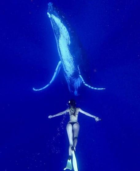 22 yaşında dünyayı dolaşıp deniz canlılarıyla fotoğraf çektiriyor