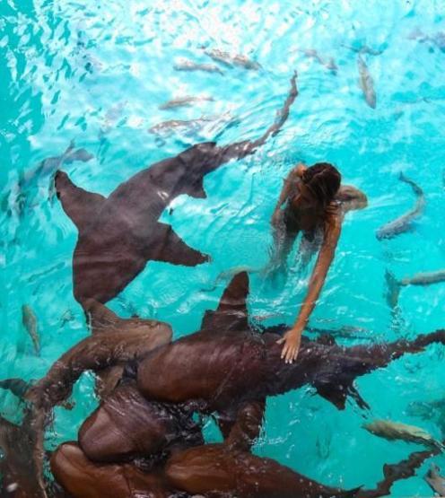 22 yaşında dünyayı dolaşıp deniz canlılarıyla fotoğraf çektiriyor