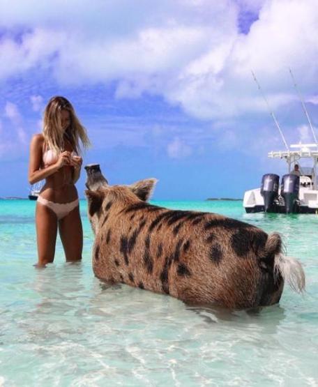 22 yaşında dünyayı dolaşıp deniz canlılarıyla fotoğraf çektiriyor