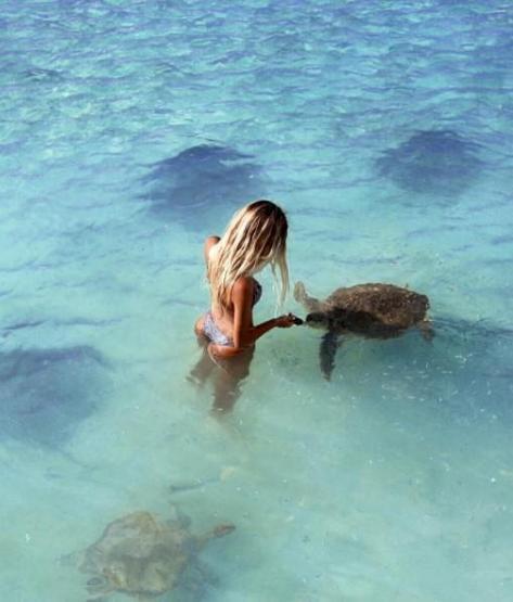 22 yaşında dünyayı dolaşıp deniz canlılarıyla fotoğraf çektiriyor