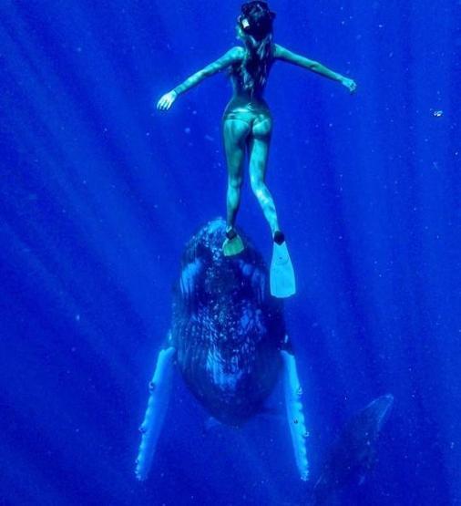 22 yaşında dünyayı dolaşıp deniz canlılarıyla fotoğraf çektiriyor