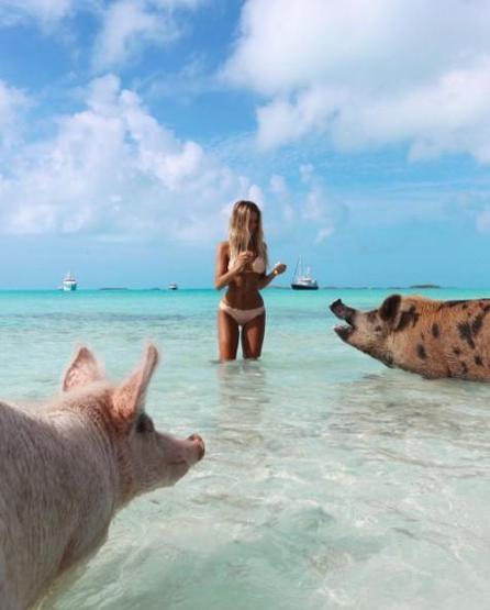 22 yaşında dünyayı dolaşıp deniz canlılarıyla fotoğraf çektiriyor