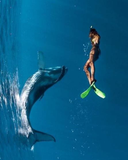 22 yaşında dünyayı dolaşıp deniz canlılarıyla fotoğraf çektiriyor