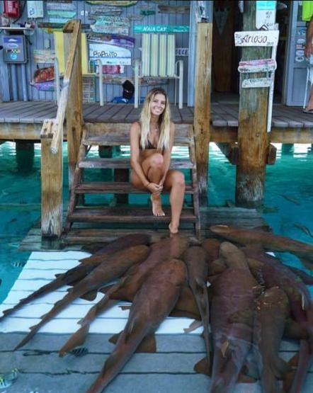 22 yaşında dünyayı dolaşıp deniz canlılarıyla fotoğraf çektiriyor