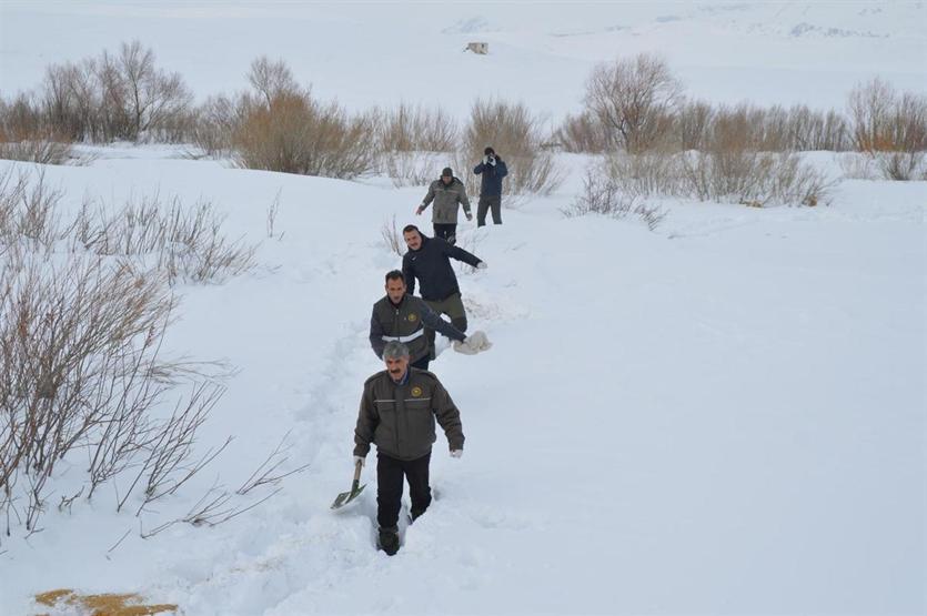 Kurtlar saldırmasın diye doğaya yem bıraktılar
