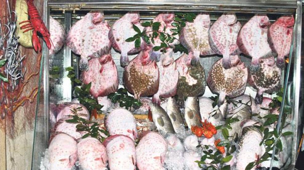 Kalkan balığı 130 liraya satılıyor