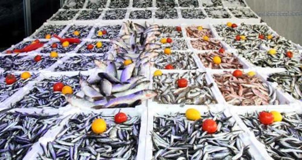 Tezgahlar mezgitle canlanacak