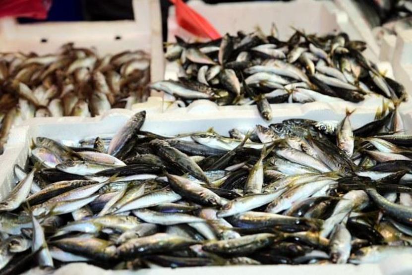 Tezgahlar mezgitle canlanacak