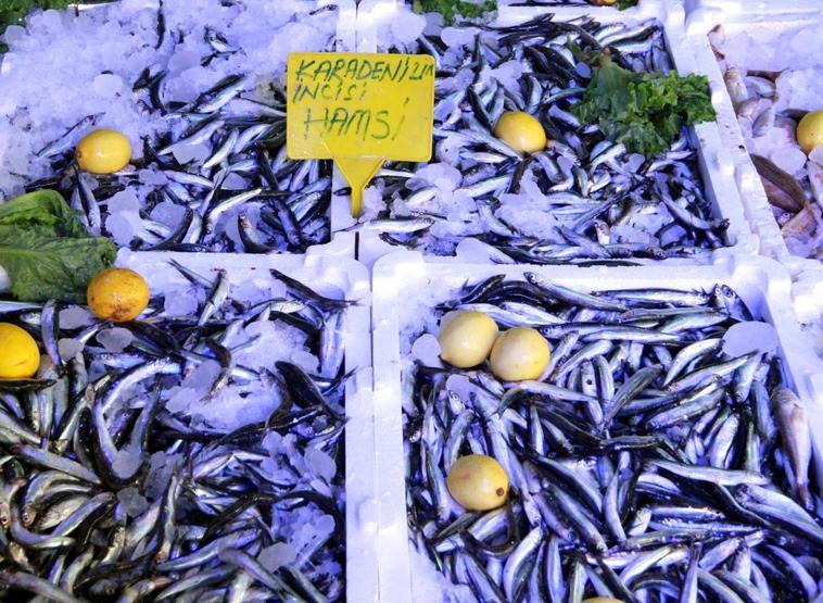 Tezgahlar mezgitle canlanacak