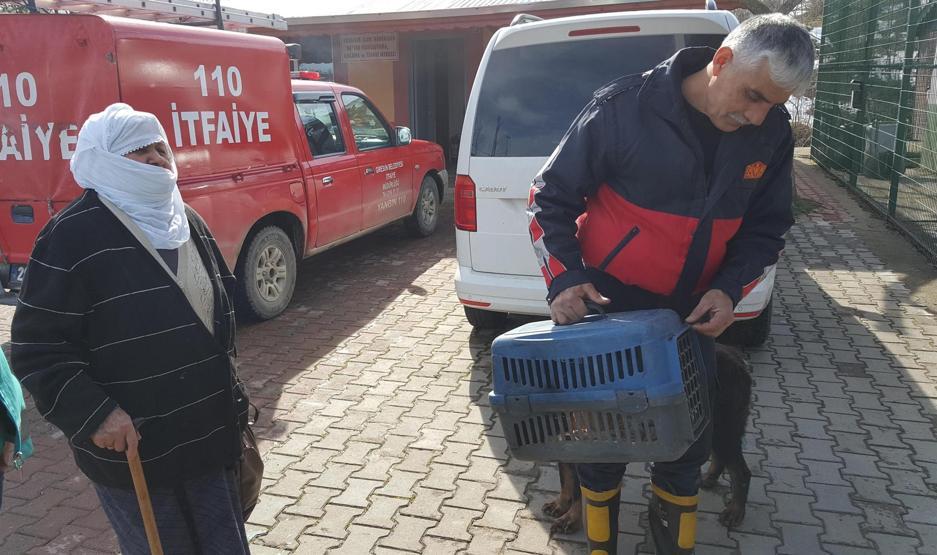 Yaralı kedi için seferber oldular