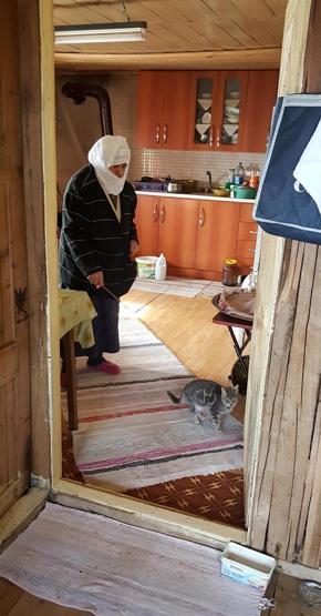 Yaralı kedi için seferber oldular