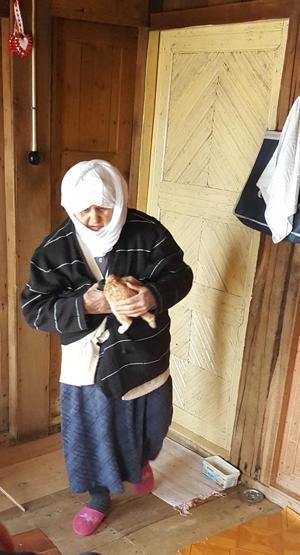 Yaralı kedi için seferber oldular