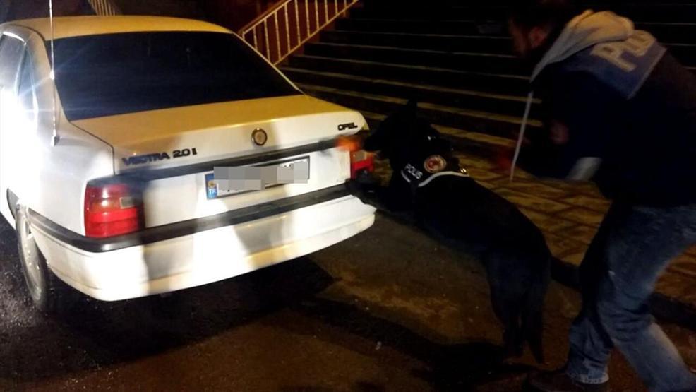 Dedektör köpeği Kayra uyuşturucu kaçakçılarına geçit vermedi
