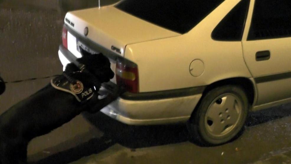 Dedektör köpeği Kayra uyuşturucu kaçakçılarına geçit vermedi