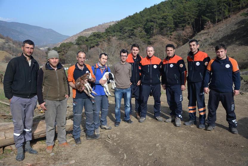 Kayalıklarda mahsur kalan keçileri 4 gün sonra AFAD kurtardı
