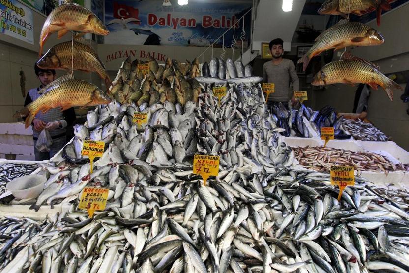 Havalar ısındı balık fiyatları düştü