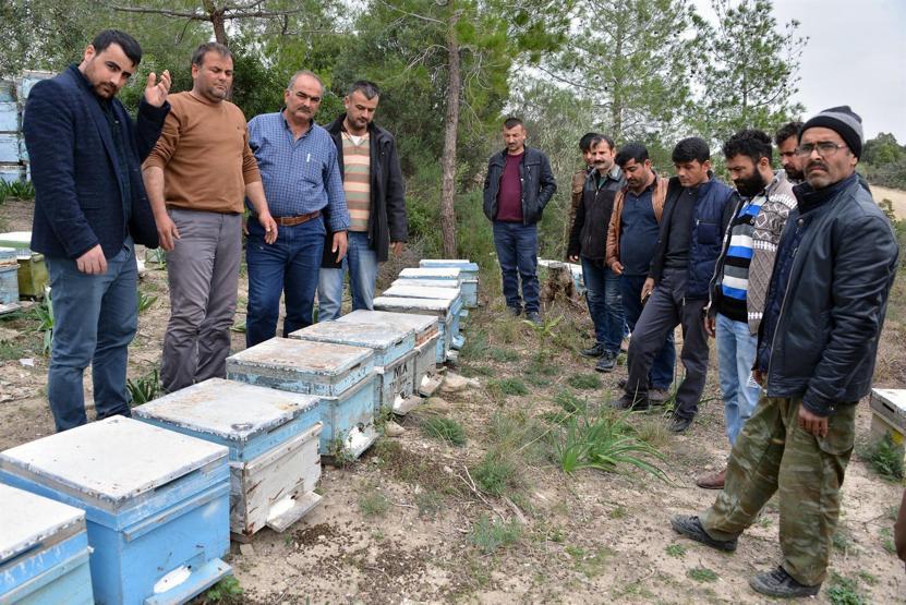 Adanada binlerce arı telef oldu