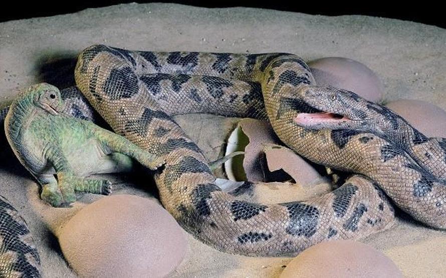 Şimdiye kadar keşfedilen en tuhaf fosiller