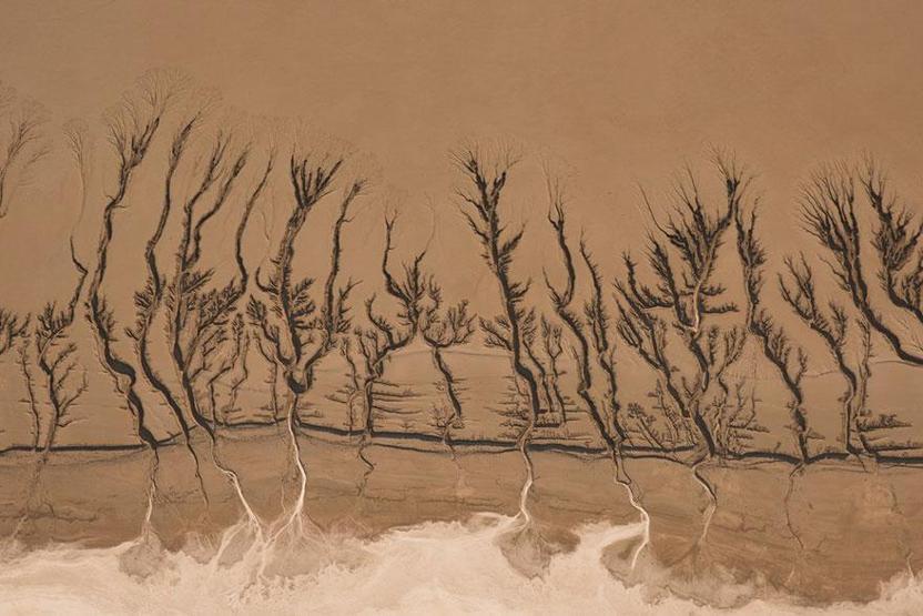 Smithsonian Fotoğraf Ödüllerinin finalistleri belli oldu