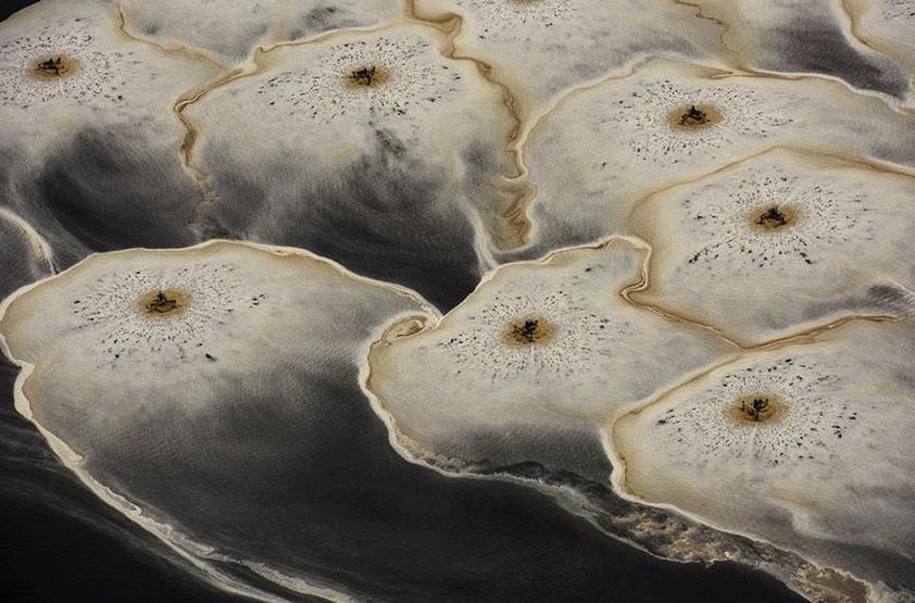 Smithsonian Fotoğraf Ödüllerinin finalistleri belli oldu