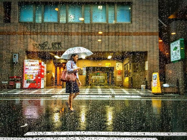 Smithsonian Fotoğraf Ödüllerinin finalistleri belli oldu