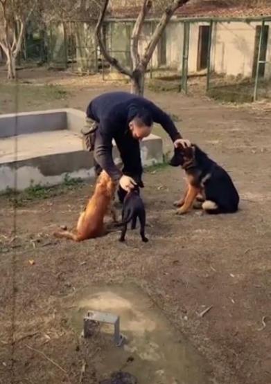 Trafik ünlü şarkıcının hayatını değiştirdi, şimdi köyde yaşıyor