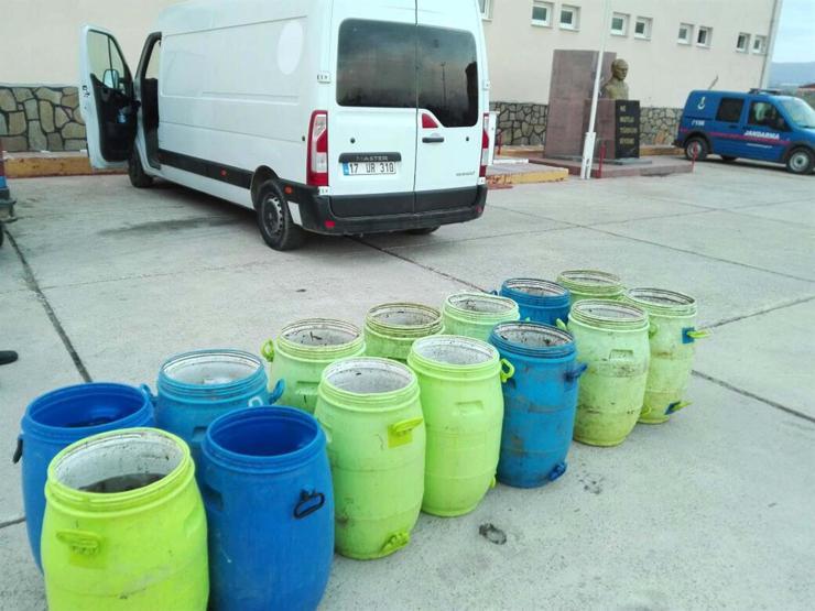 Geliboluda 400 kilo deniz patlıcanı ele geçirildi