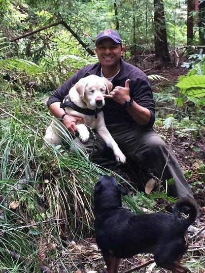 Kaybolan kör köpek 8 gün sonra dağda bulundu