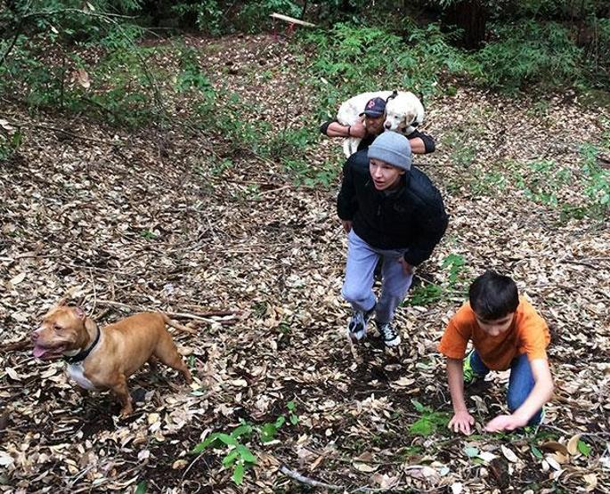 Kaybolan kör köpek 8 gün sonra dağda bulundu