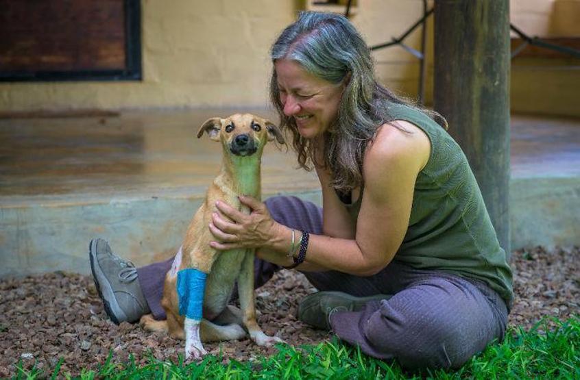 Felçli köpek ihtiyacı olan yardımı kendisi uğraşıp buldu