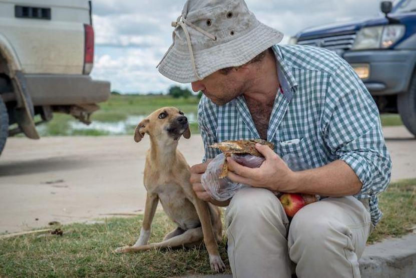 Felçli köpek ihtiyacı olan yardımı kendisi uğraşıp buldu