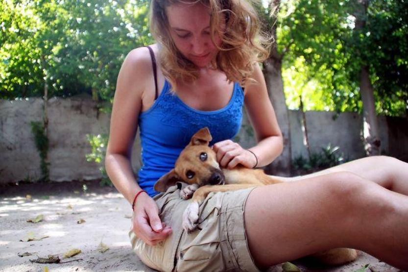 Felçli köpek ihtiyacı olan yardımı kendisi uğraşıp buldu