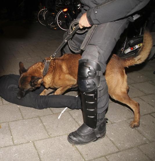 Hollanda polisinin saldırdığı kişi Hollanda askeriymiş
