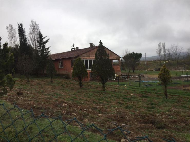 Beşiktaş Belediyesinde Hollanda ineği tartışması