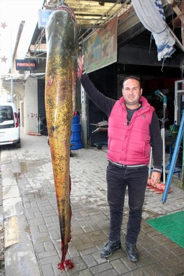 Manisada yakalandı. Tam 80 kilo