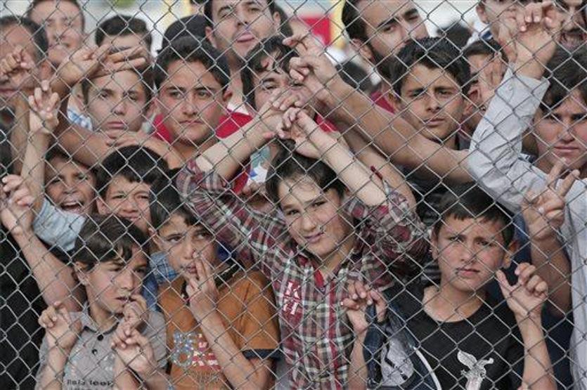 Türkiyedeki sayıları açıklandı: 2 milyon 957 bin 454