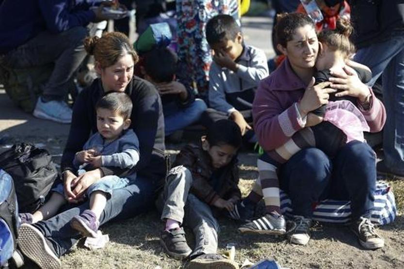 Türkiyedeki sayıları açıklandı: 2 milyon 957 bin 454