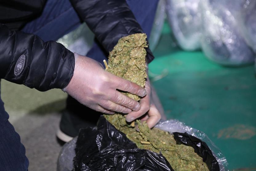 Arı kovanlarının arasında 350 kilo esrar bulundu