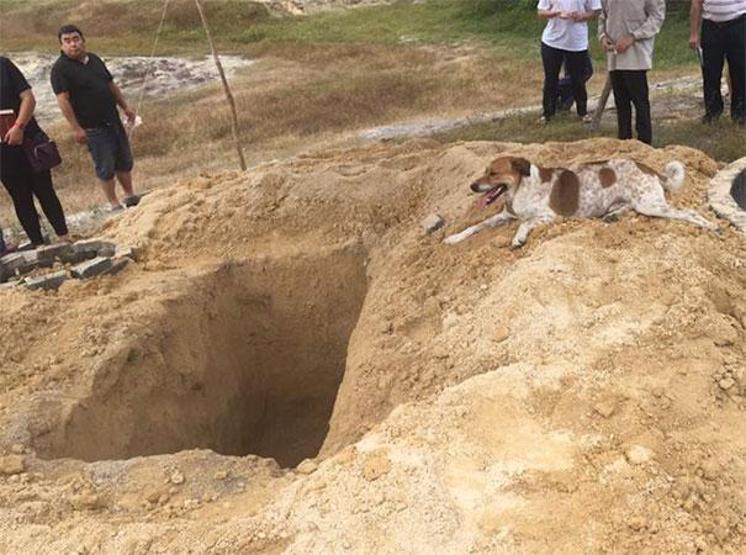 En yakın arkadaşının cenazesi için 3 buçuk kilometre yol gitti