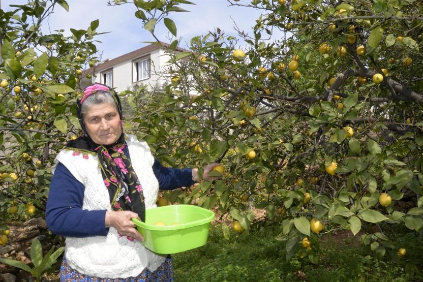 Arslanköyden İspanyaya uzanan başarı öyküsü