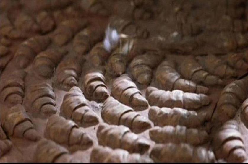 Sadece dikkatli izleyicilerin yakaladığı film hataları