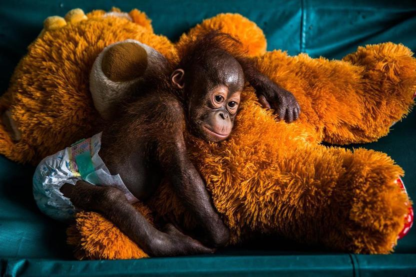 “Istanbul Photo Awards 2017” sahiplerini buldu