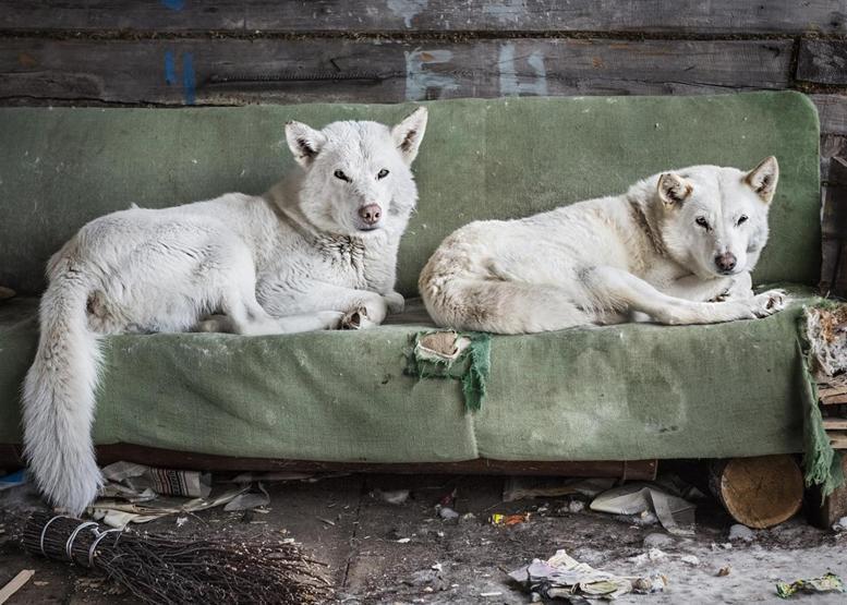 “Istanbul Photo Awards 2017” sahiplerini buldu