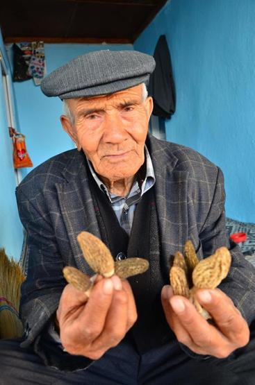 Kuzu göbeği mantarı için ormana koştular